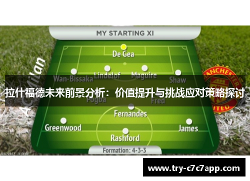 拉什福德未来前景分析：价值提升与挑战应对策略探讨