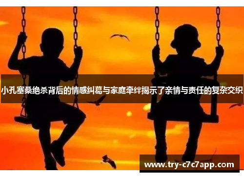 小孔塞桑绝杀背后的情感纠葛与家庭牵绊揭示了亲情与责任的复杂交织 小孔塞桑绝杀背后的情感纠葛与家庭牵绊揭示了亲情与责任的复杂交织