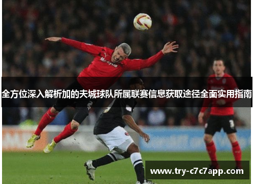 全方位深入解析加的夫城球队所属联赛信息获取途径全面实用指南 全方位深入解析加的夫城球队所属联赛信息获取途径全面实用指南