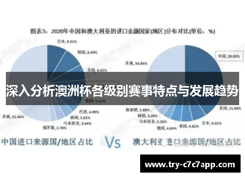 深入分析澳洲杯各级别赛事特点与发展趋势
