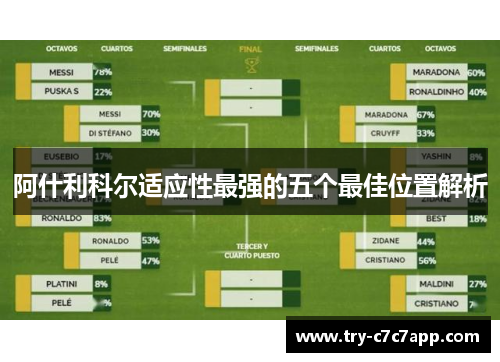 阿什利科尔适应性最强的五个最佳位置解析