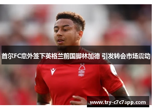 首尔FC意外签下英格兰前国脚林加德 引发转会市场震动 首尔FC意外签下英格兰前国脚林加德 引发转会市场震动